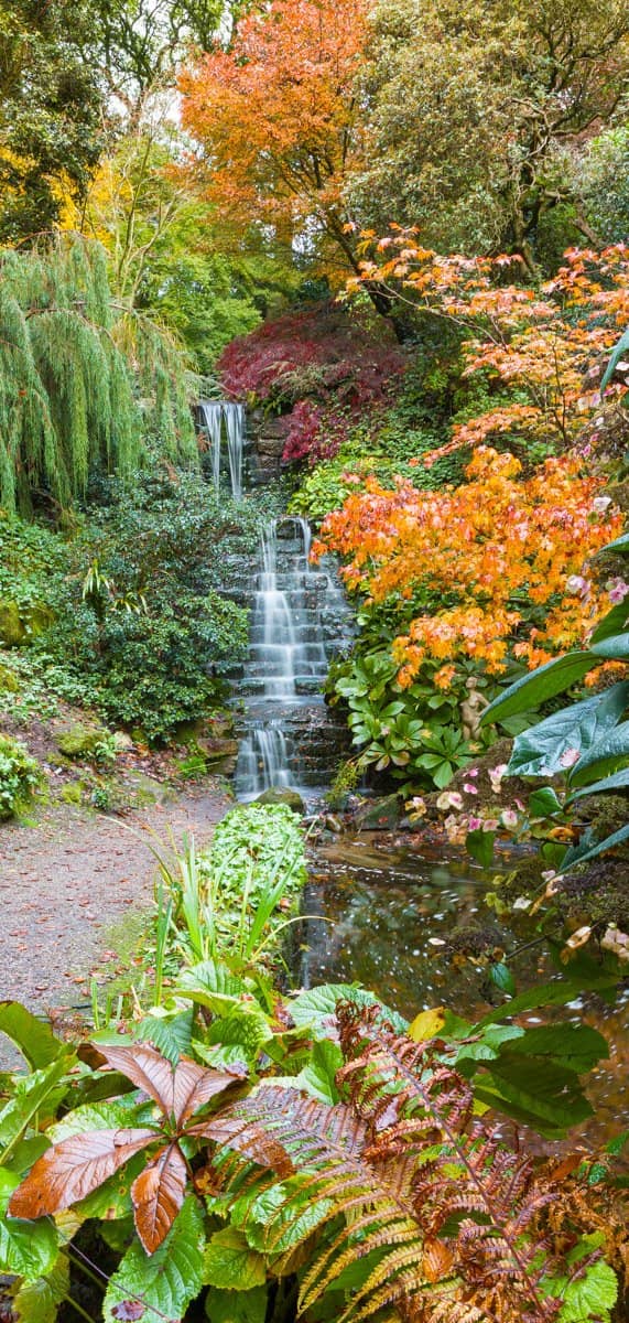 Tea Rooms and Sun Terrace