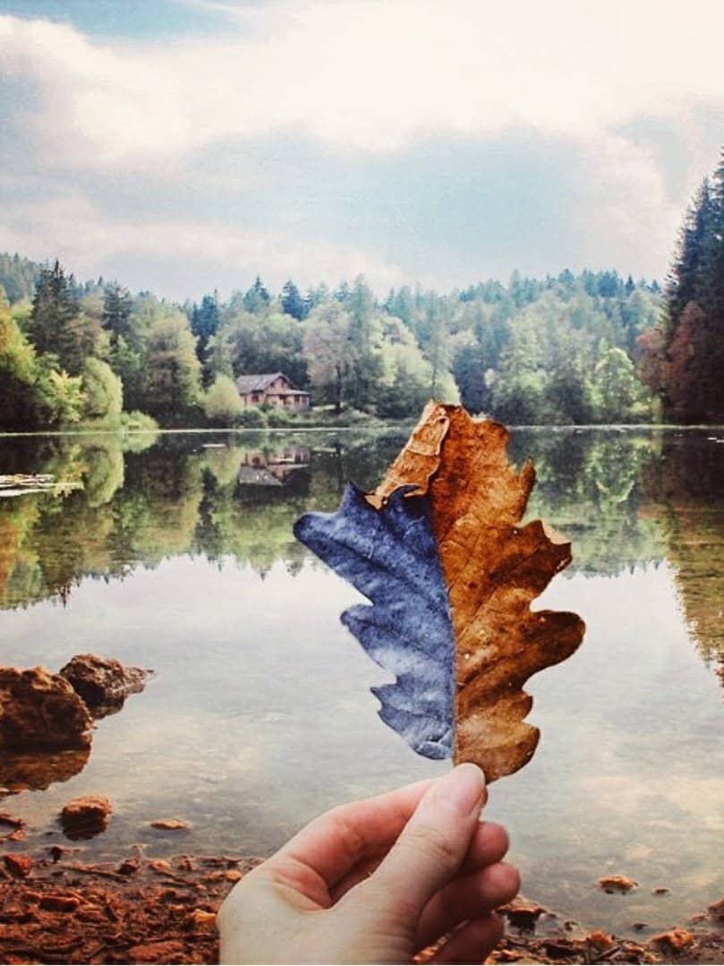 Reflections of the Mountains