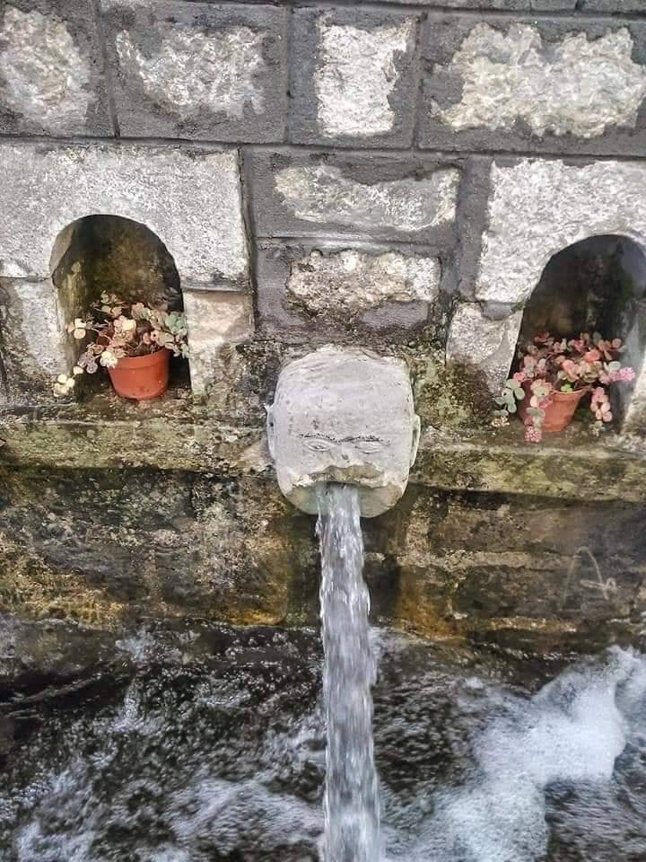 Creamy Cretan Yogurt