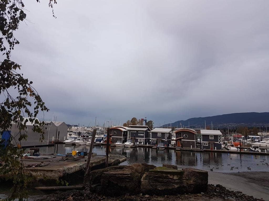 Seawall Walking Path