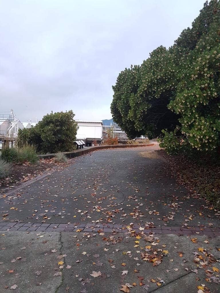 Children's Playground