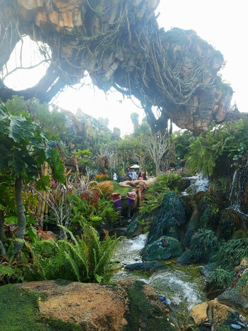 Na'vi River Journey