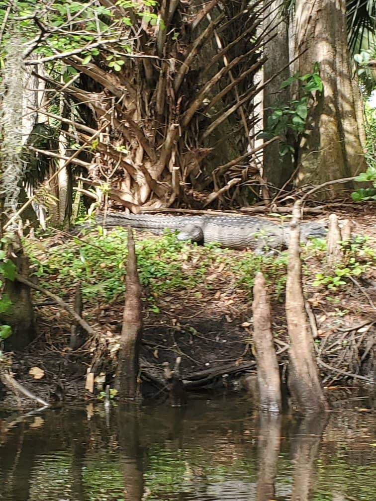 Historic Battlefield Exploration