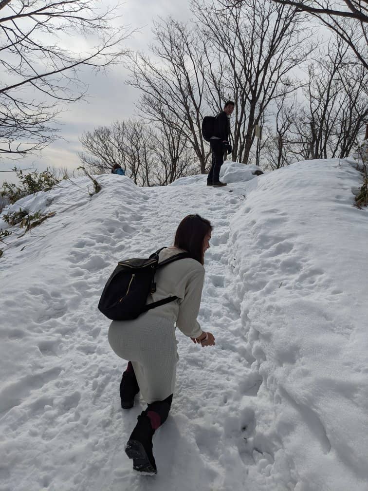 Sapporo City Views