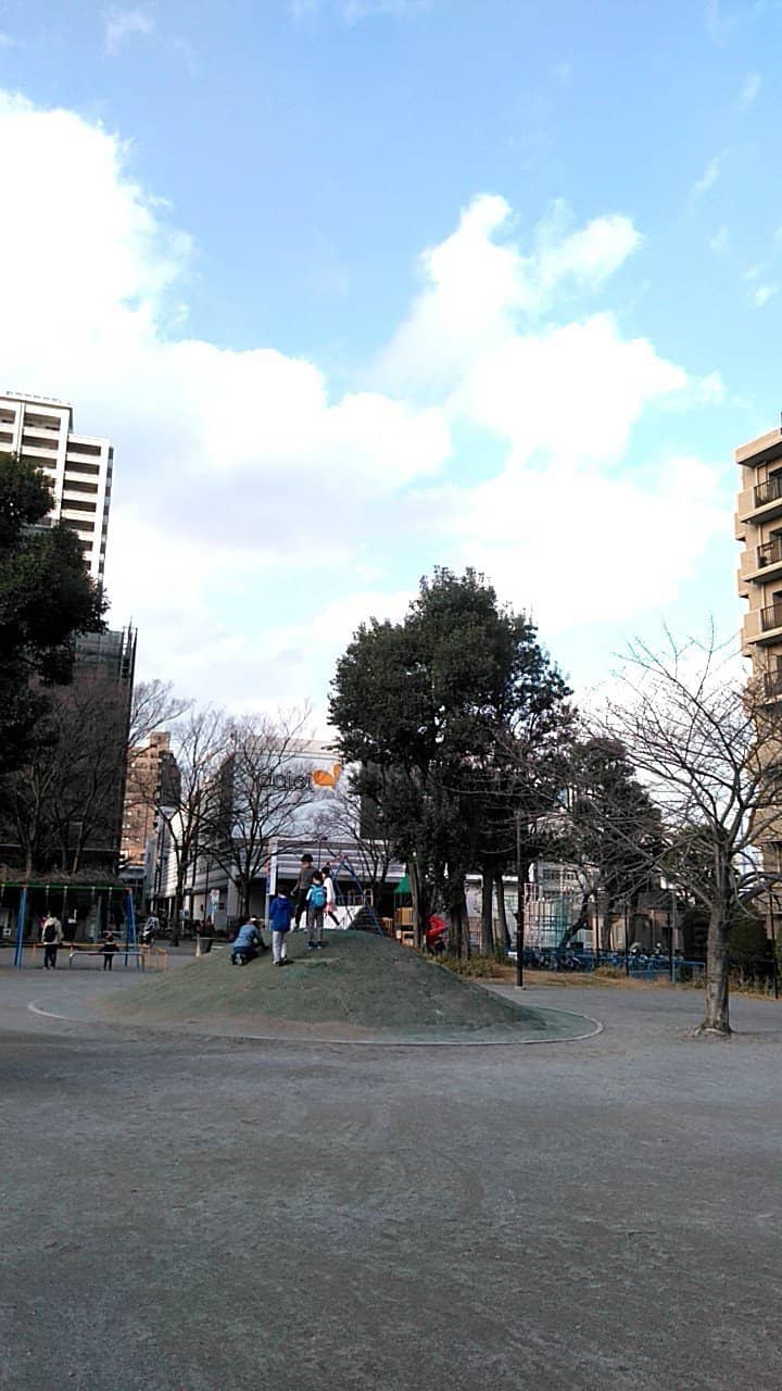 Expansive Sandy Shores