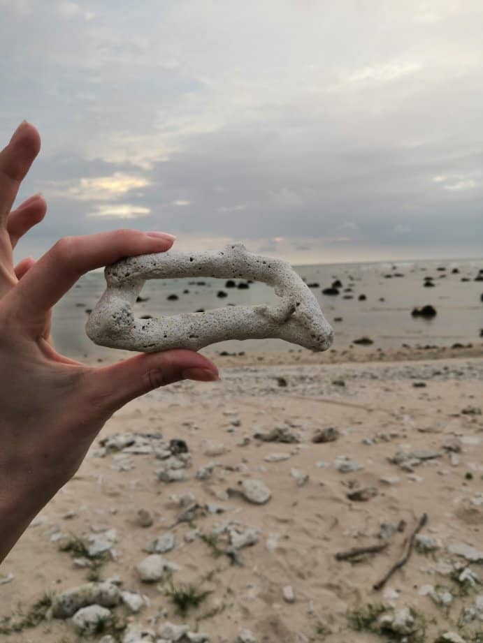 Tsunami Coral Remains
