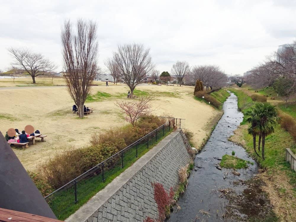 Riverside Relaxation