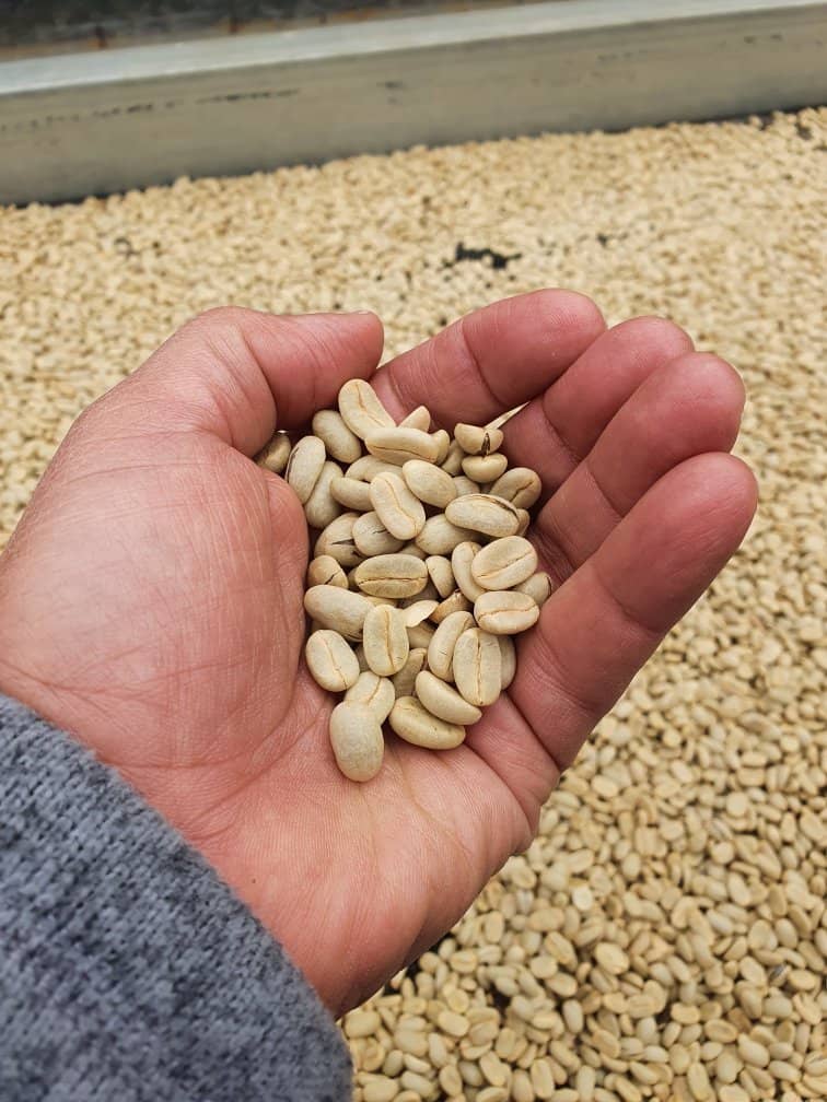 Family Heritage & Passion