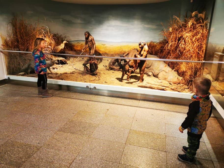 Prehistoric Art & Tools