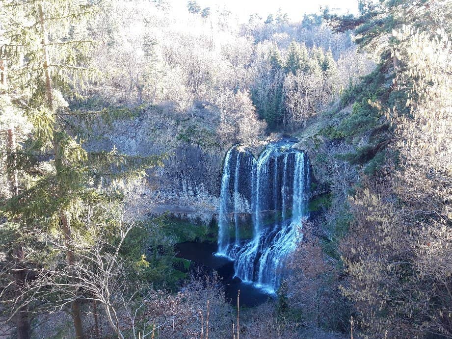 Vertical photo