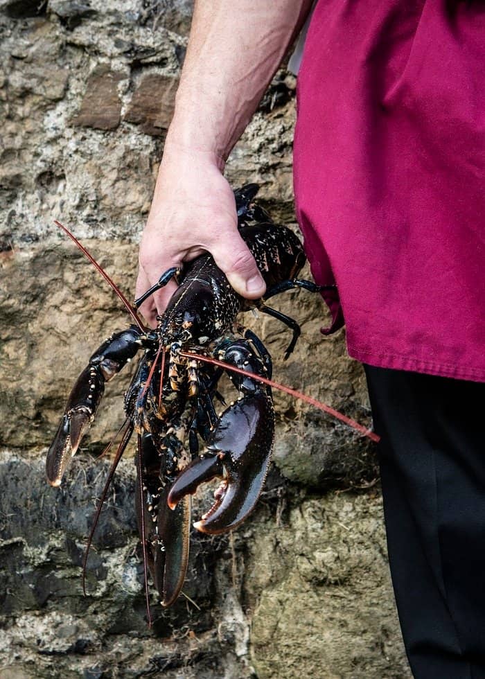 Fear-Free Fish Cookery