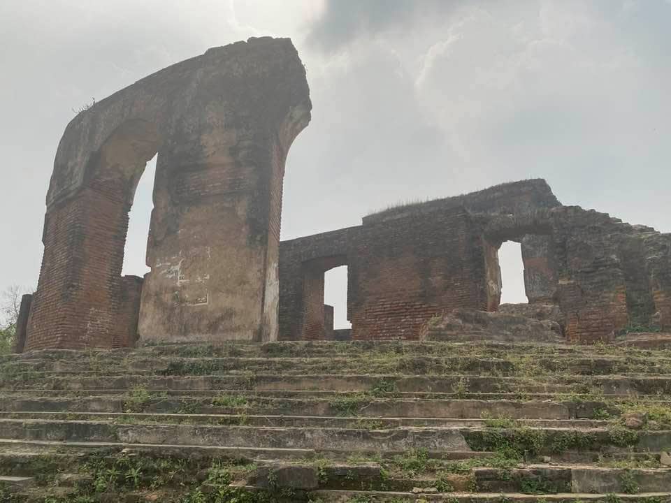 Tranquil Garden Setting