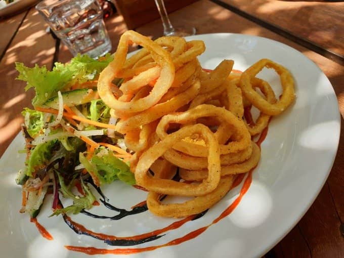 Vineyard Views & Photo Spots