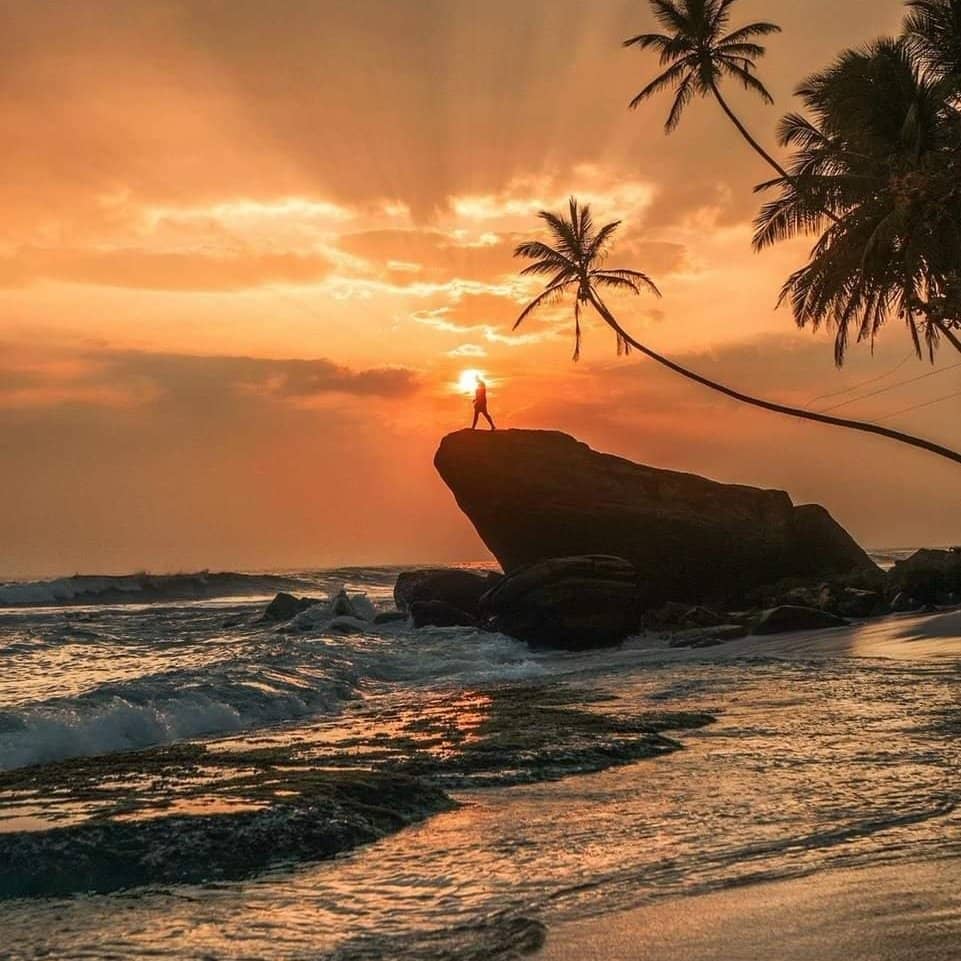 Vibrant Nightlife and Sunset Views