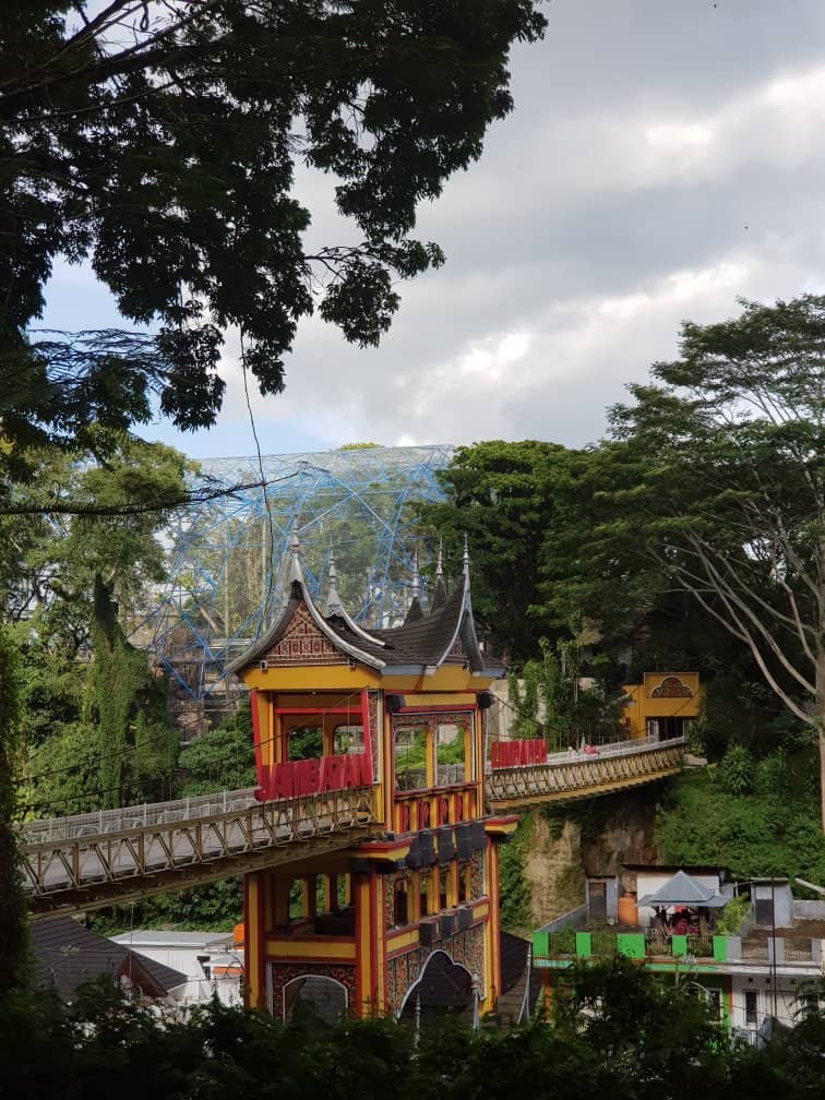 The Zoo and its Green Spaces