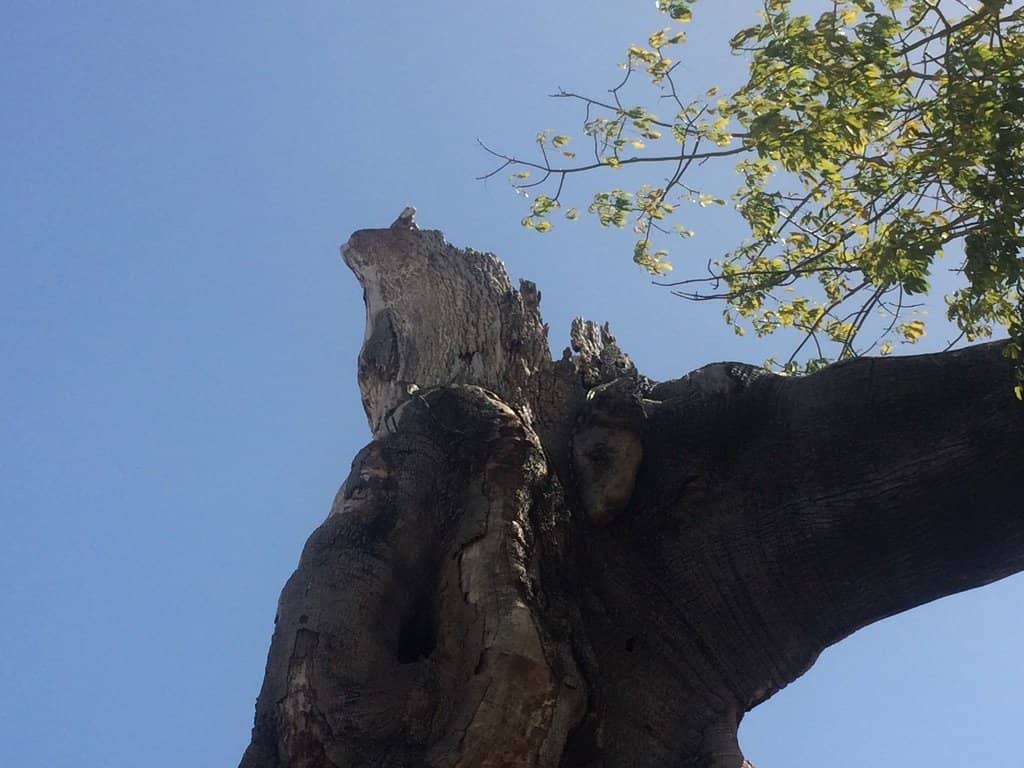 Community Art Installations