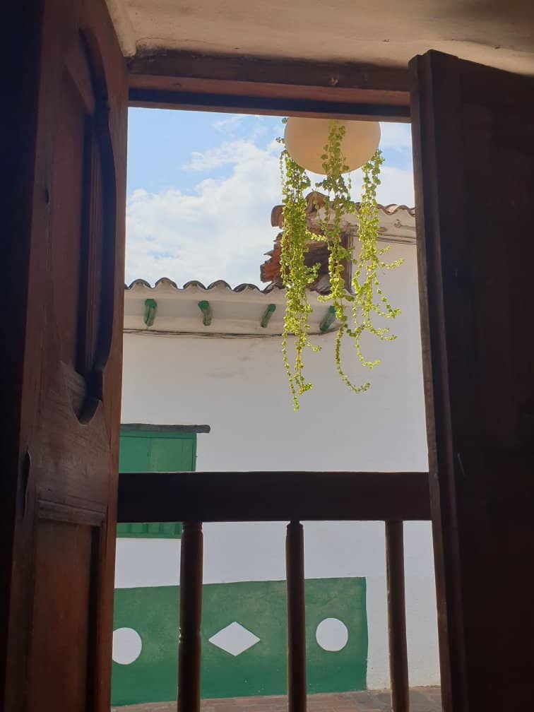 Charming Fountain and Greenery
