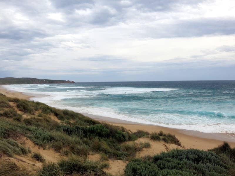 Cape Woolamai Circuit Walk