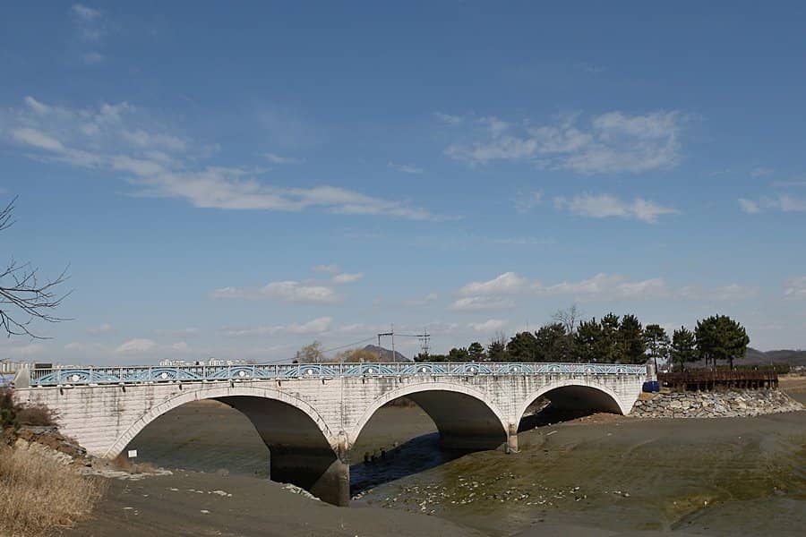 Cedar Maze & Tree Tunnel