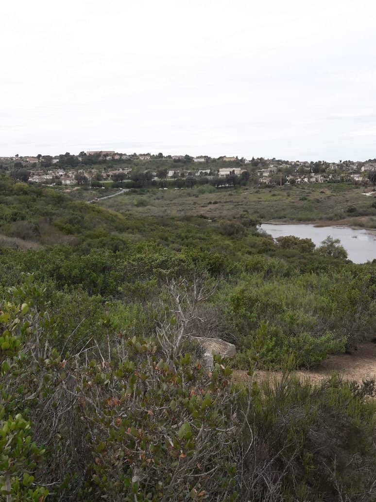 Marshland Boardwalk