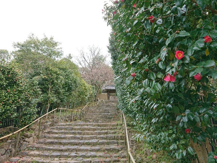 Tranquil Garden