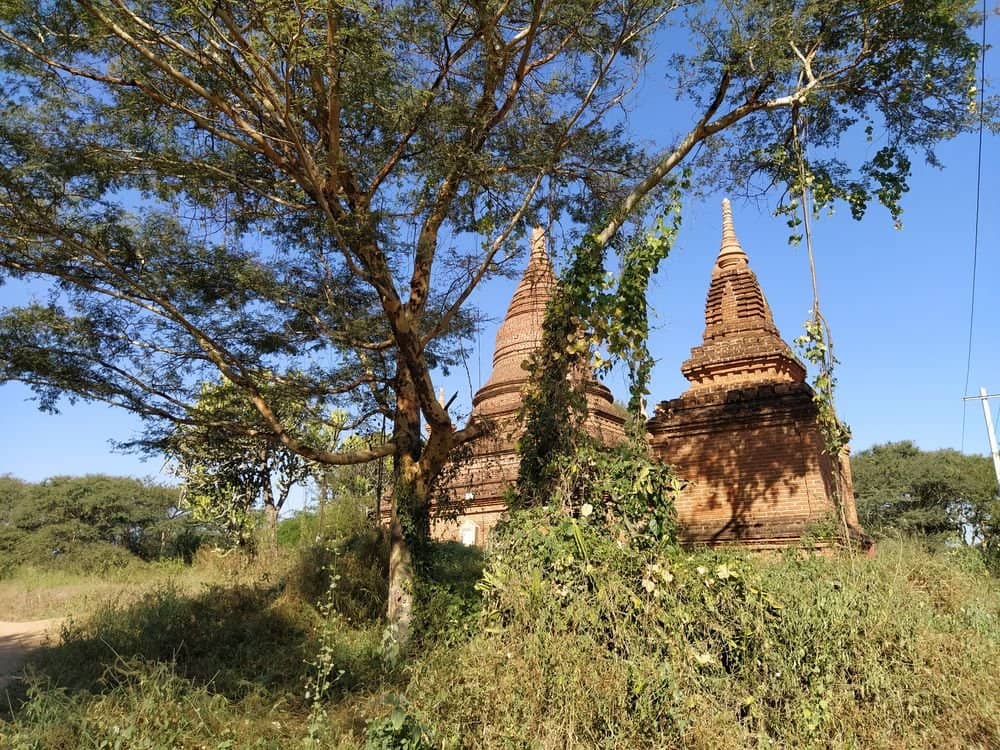 Intricate Buddhist Murals