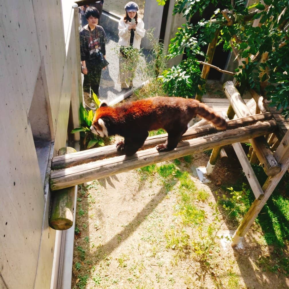 Spacious and Modern Enclosures