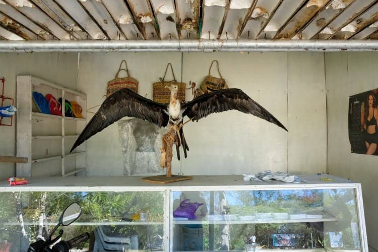 Coastal Trails & Gazebo