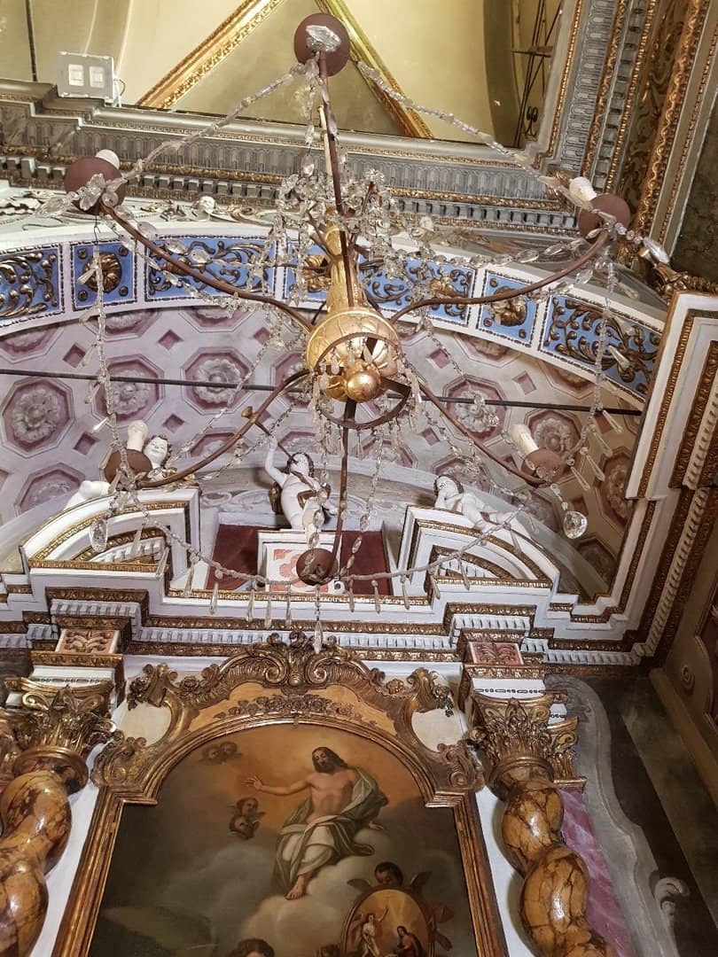 Symbol of Resilience and Renewal