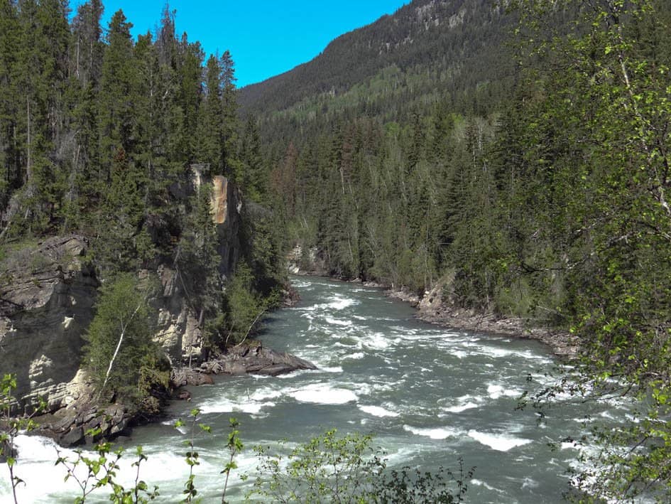 Wildlife Viewing Opportunities