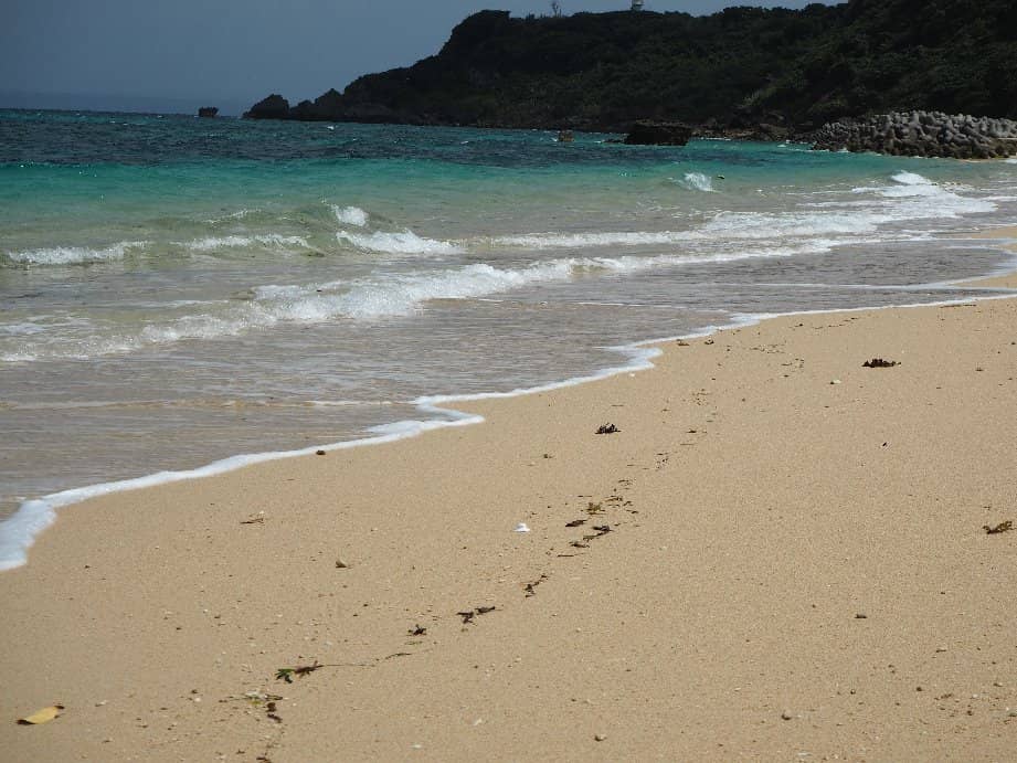 Snorkeling Adventures