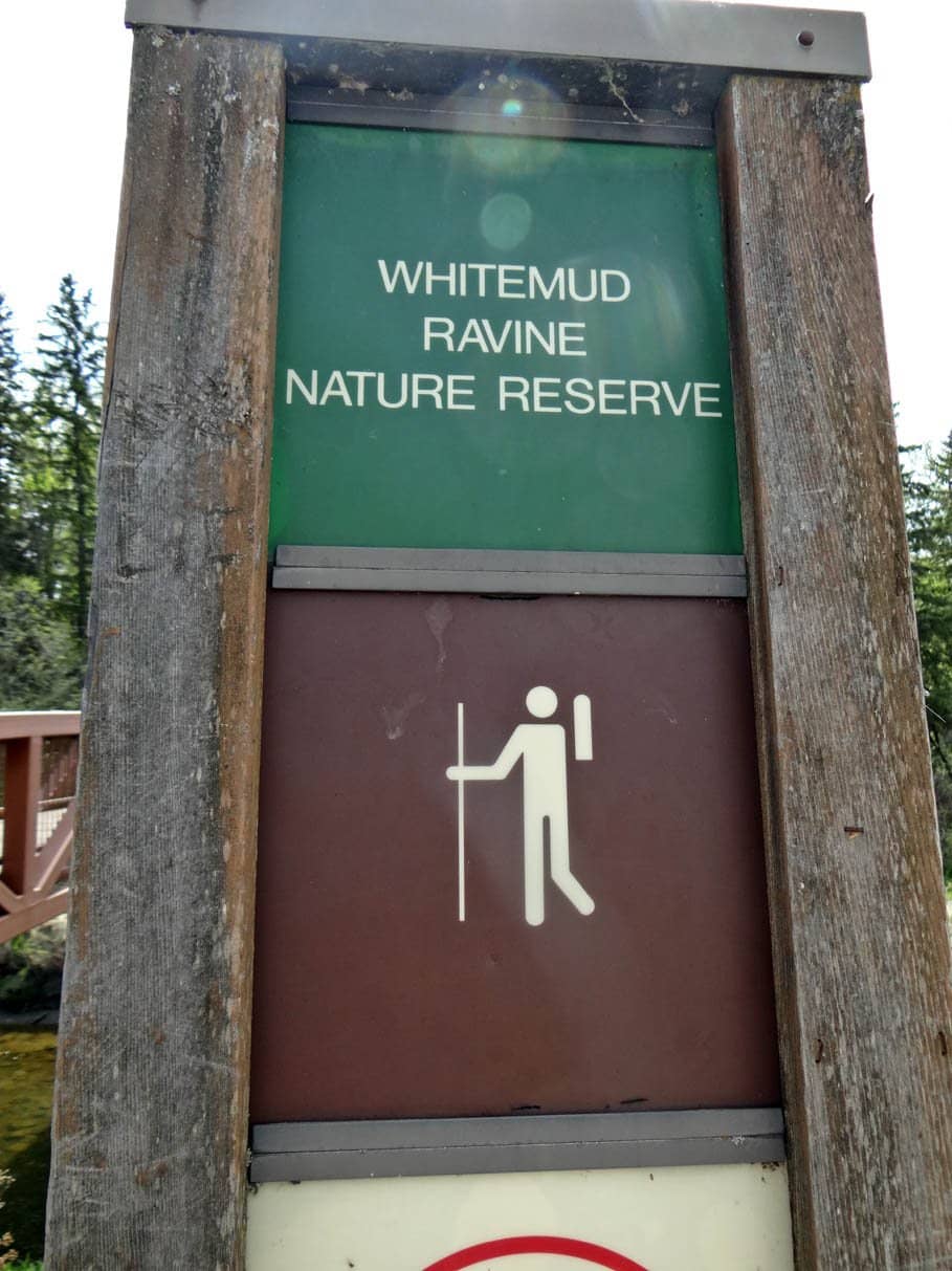 Picnic Areas & Open Spaces