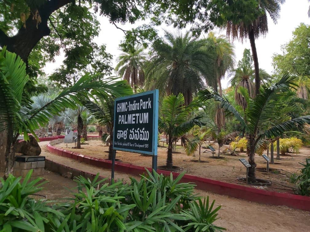 Children's Play Area