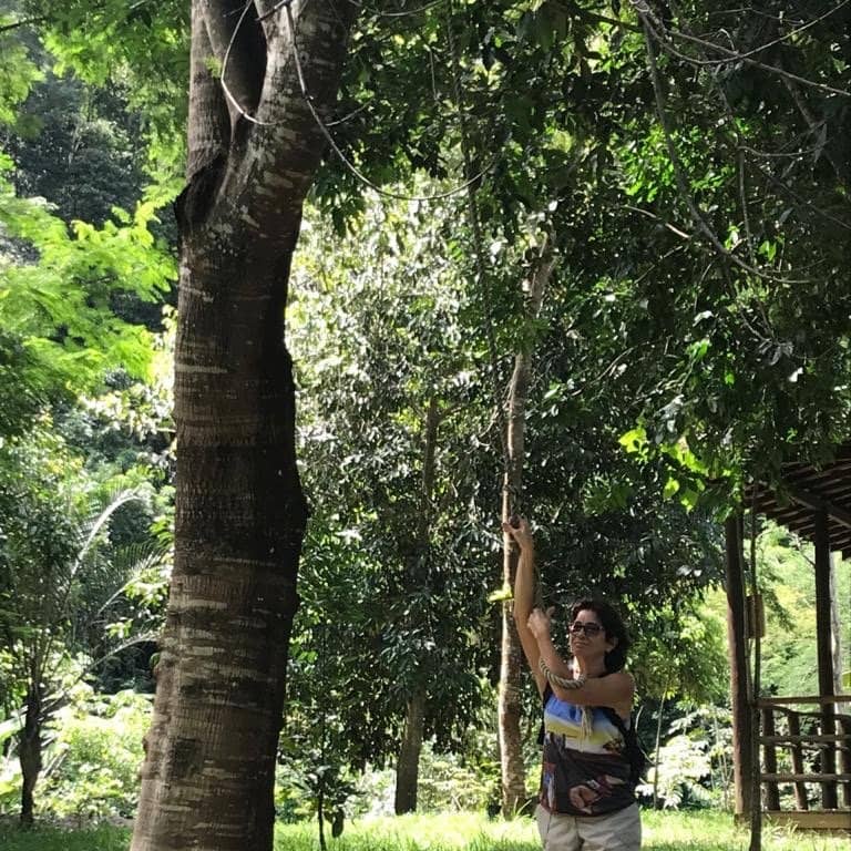 Vertical photo