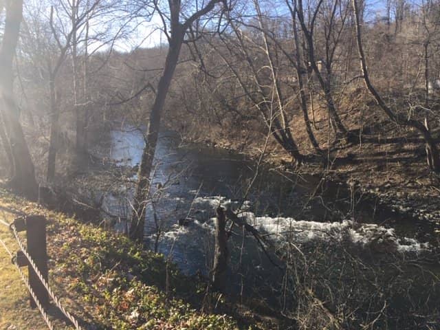 Family-Friendly Exploration