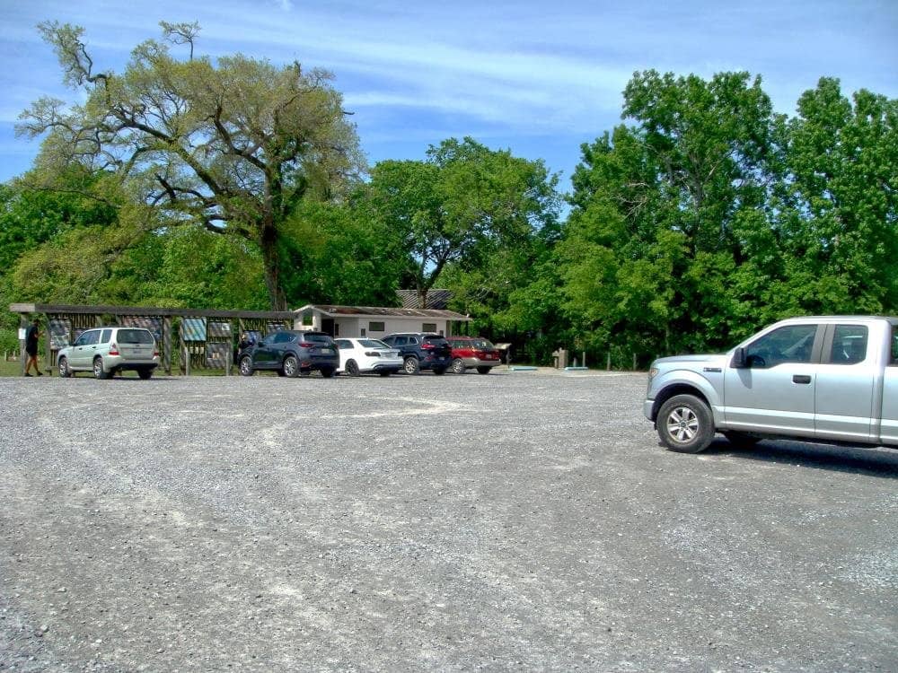 Peaceful Marsh Trails