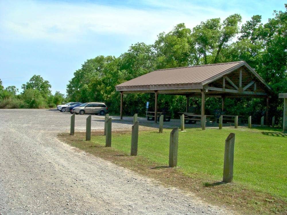 Birdwatching Paradise