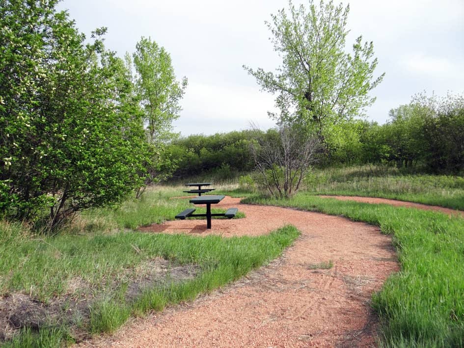 Diverse Wildlife Encounters