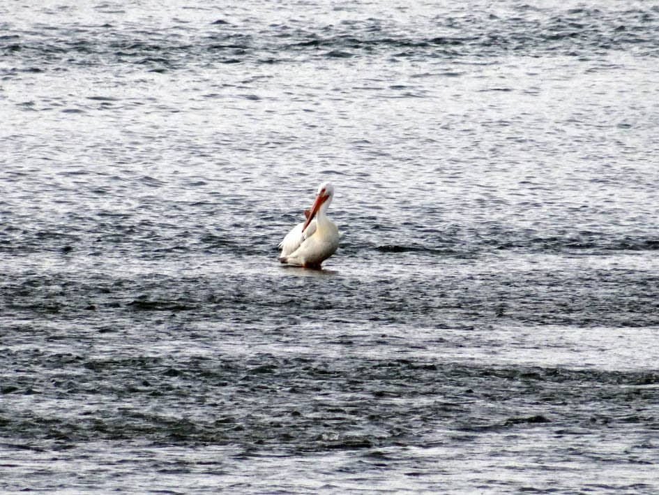 Scenic Walking & Biking Trails