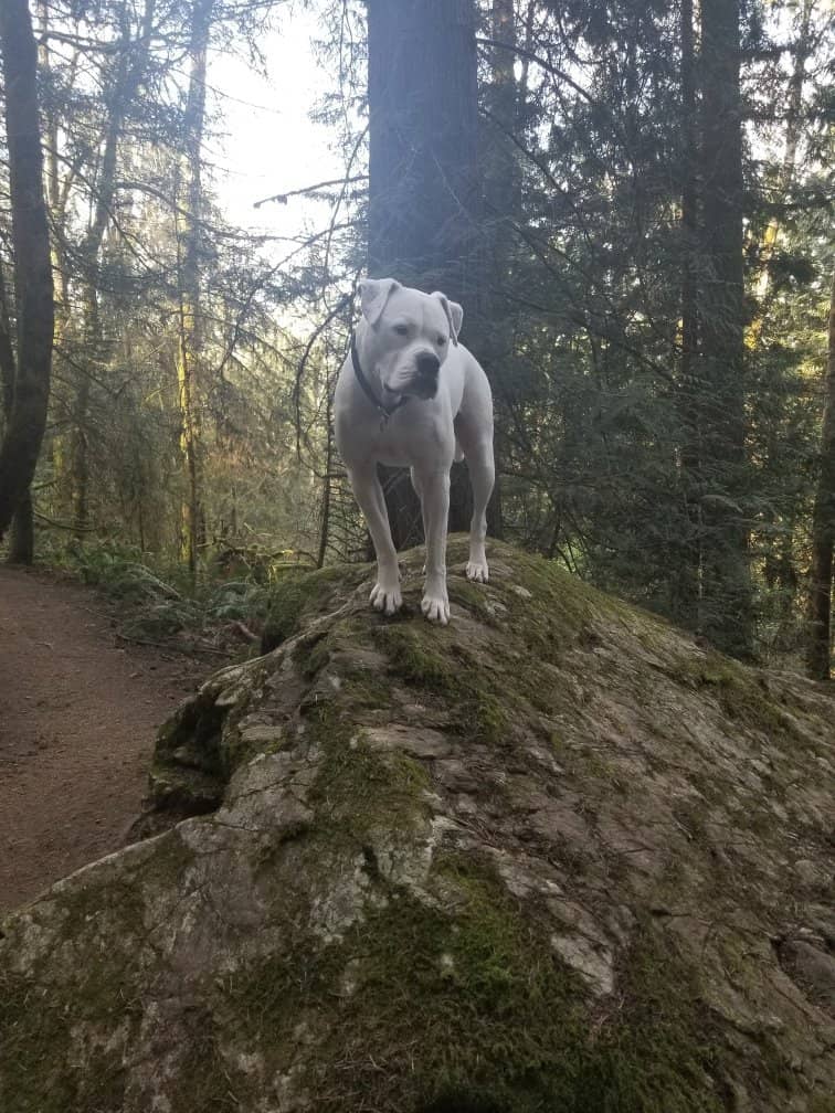 Extensive Trail Network