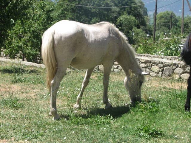 Mal Grad Island & Cave Church