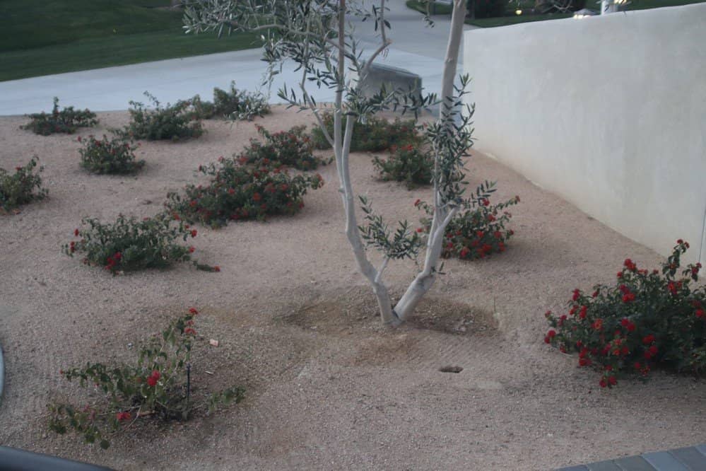 Sports Courts Galore