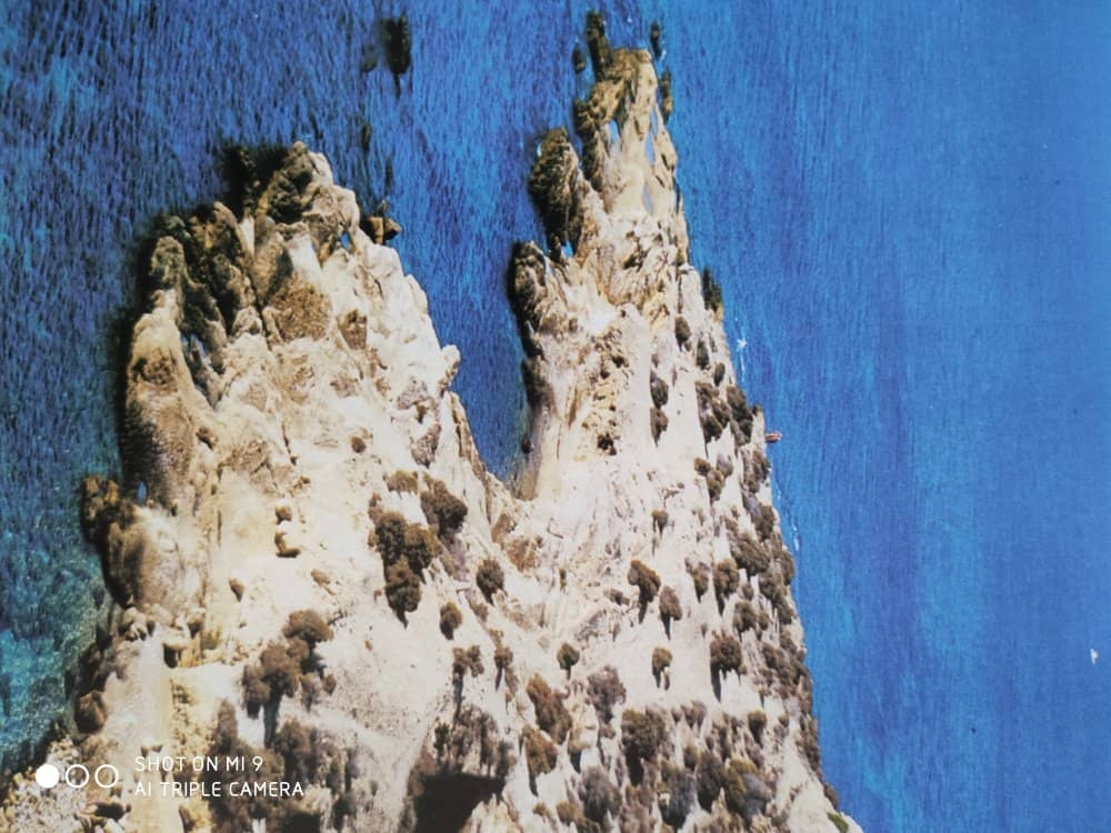 Vertical photo