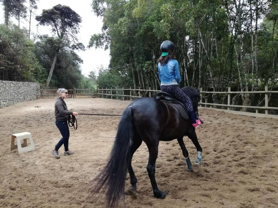 Organic Vegetable Gardens