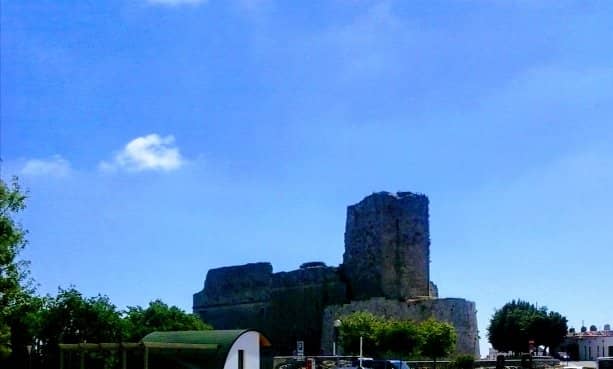 Vertical photo