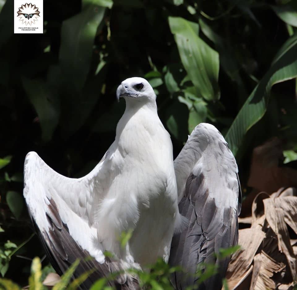 Diverse Wildlife Sanctuary