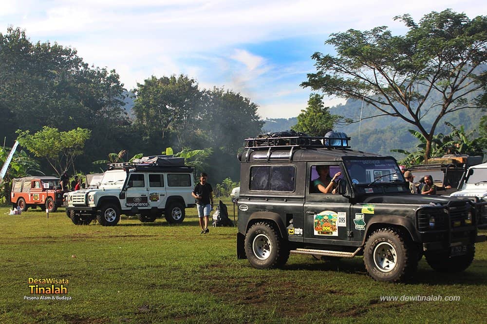 Camping Under the Stars