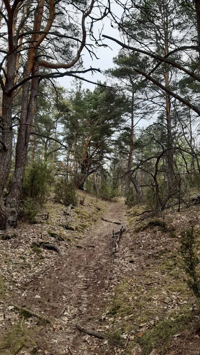 Historical WWII Bunkers