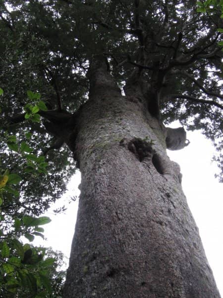 Vertical photo