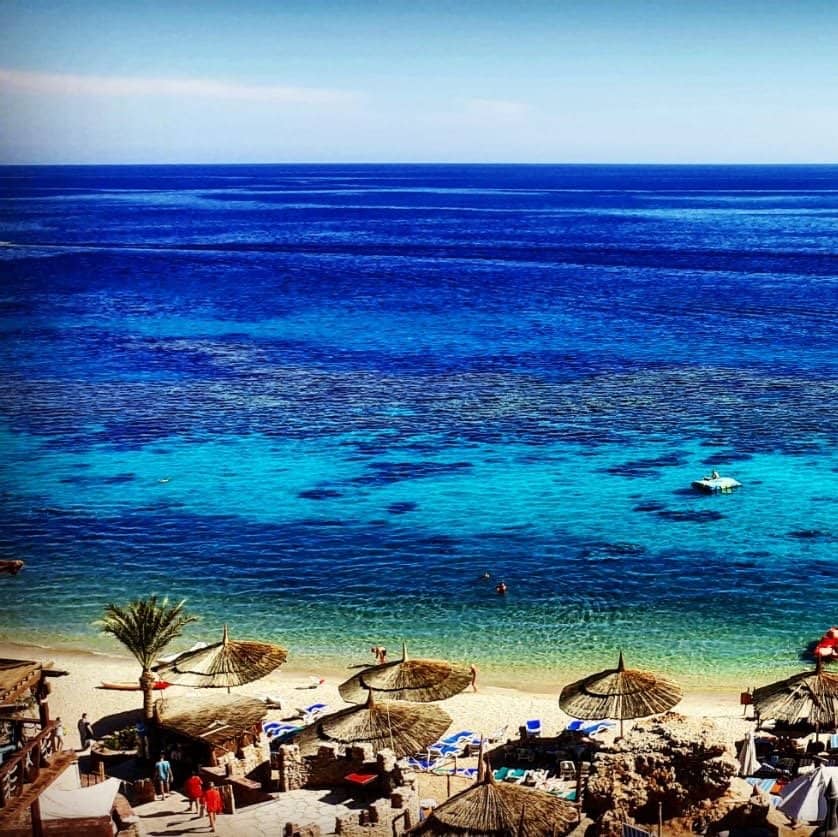 Vibrant Coral Reefs